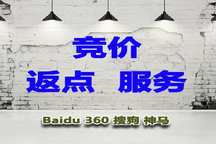 百度竞价代理在某行业的具体应用与效果